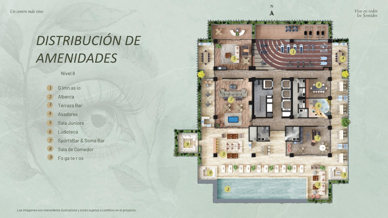 Amenidades Nivel 8