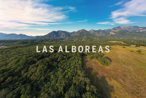 Fotografía general del entorno de Las Alboreas; no representa un lote específico.