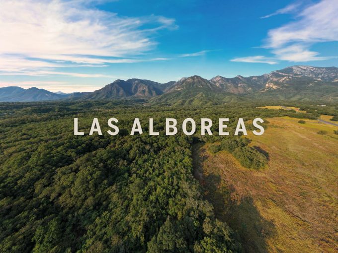 Fotografía general del entorno de Las Alboreas; no representa un lote específico.
