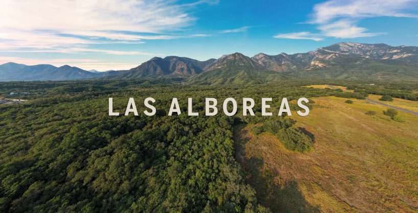 Fotografía general del entorno de Las Alboreas; no representa un lote específico.
